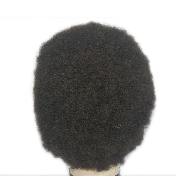 LJC1042 Tight Afro African Wigs (4)