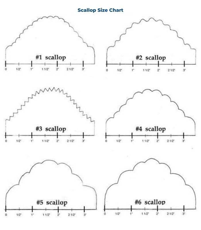 Front Contour and Scallop Front