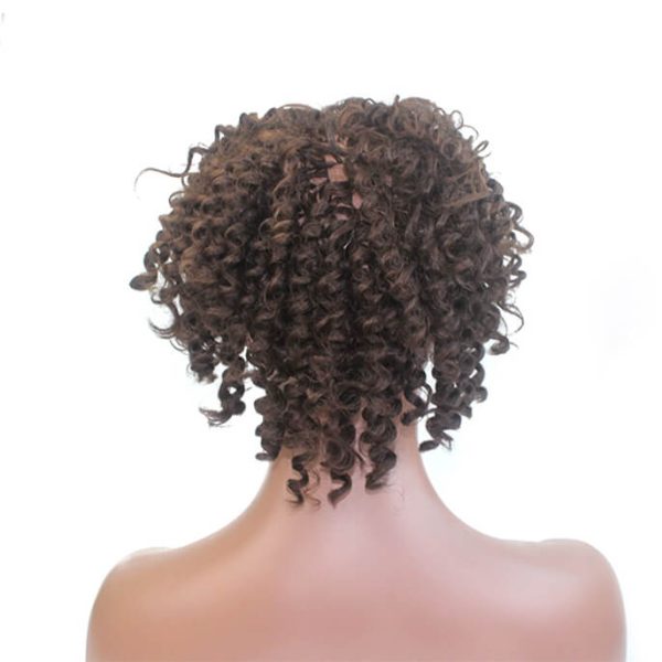 nw1172-integration-african-womens-toupee-3